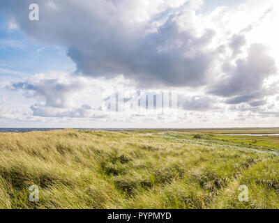 Blick von boschplaat mit Salzwiesen und Dünen auf Terschelling Insel Wattenmeer bei Ebbe von Wattenmeer, Niederlande Stockfoto