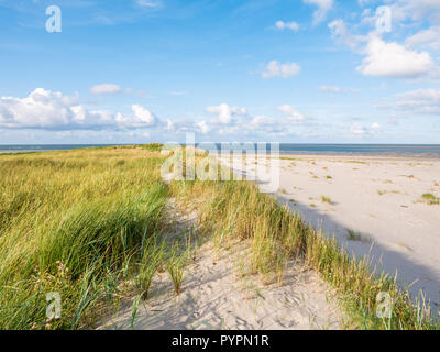 Blick auf die Nordsee von Dünen mit Gras und marram Strand von Naturschutzgebiet Boschplaat auf friesischen Insel Terschelling, Niederlande Stockfoto