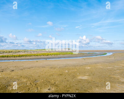Gezeiten Sandbänken bei Ebbe, Bach und Salzwiesen der Naturschutzgebiet Boschplaat auf friesischen Insel Terschelling, Niederlande Stockfoto