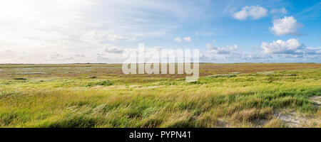 Panorama der Salzwiesen mit Sand Couch und marram Gras und Meer Lavendel im Naturschutzgebiet Boschplaat auf friesischen Insel Terschelling, Niederlande Stockfoto