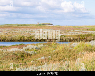 Salzwiesen mit Stream und Meer Lavendel im Naturschutzgebiet Boschplaat auf friesischen Insel Terschelling, Niederlande Stockfoto