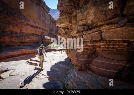 Deer Creek entlang. Rafting auf dem Colorado River, Grand Canyon, Arizona, USA. Stockfoto