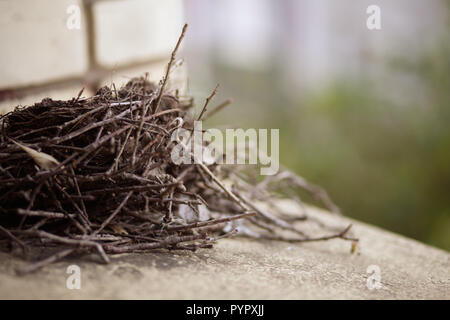 Bird's Nest aus Zweigen, Blätter und Zweige auf dem Fensterbrett Leiste Stockfoto