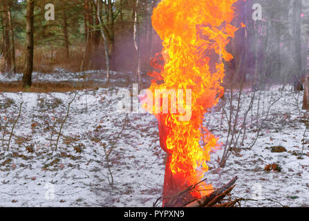 18. Februar 2018, Kaliningrad, Russland, Faschings-Festival in den Wald, brennen Bildnis von winter Stockfoto