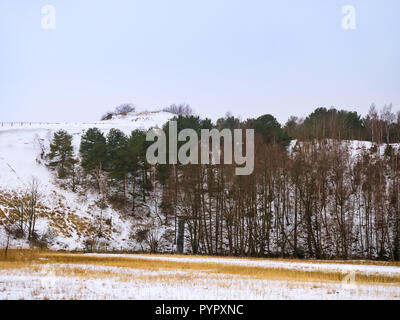 Verschneite Wald Hang, Pinien auf dem Hügel wachsen Stockfoto