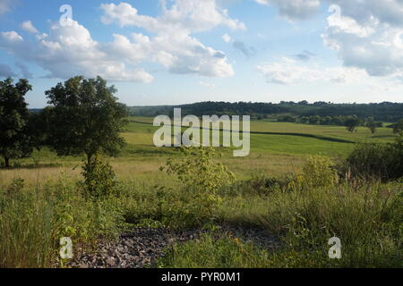 Sonnigen Tag in der Mitte von frischem Grün. Natur einfach, aber wunderschön zugleich können Sie auch nur den Geruch der frischen Luft Stockfoto