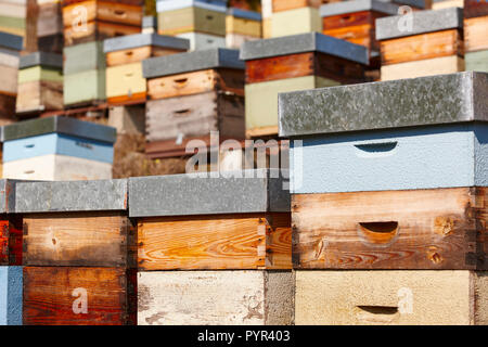 Bienenstöcke. Traditionelle bunte Holzkiste. Muniellos, Asturien, Spanien. Horizontale Stockfoto