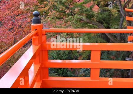 Herbst in Japan - bunte Blätter von Kitano Tenmangu Gärten in Kyoto. Stockfoto