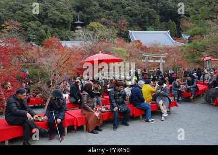 KYOTO, JAPAN - November 24, 2016: die Menschen besuchen Tempel Eikando Zenrinji Teegarten in Kyoto, Japan. 19,7 Millionen ausländischen Touristen besucht Japan im Jahr 2015 Stockfoto