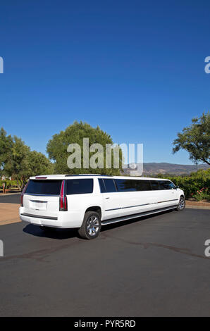 Edle weiße Limousine in ländlichen Umwelt geparkt Stockfoto