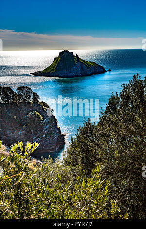 Eine Ansicht von Thatcher Rock in Torbay, Devon. Stockfoto