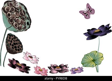 Hand bunte nelumbo oder Lotus Blumen gezeichnet, getrockneten Samenkapseln und fliegenden Schmetterling. Abbildung: Zur Begrüßung oder Einladungskarte, Design. Stock Vektor
