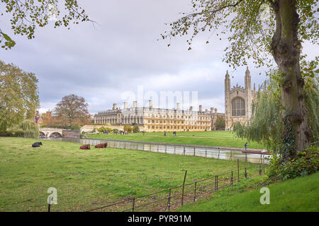 Clare College und King's College, Universität Cambridge, wie von der Wiese auf der Westseite des Flusses Cam, England gesehen. Stockfoto