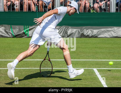 Jaimy Murray Wimbledon Stockfoto