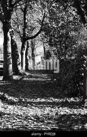 Schwarz-Weiß, herbstliches Bild des schönen, historischen Hartburn Village, Stockton-on-Tees, Großbritannien. Stockfoto