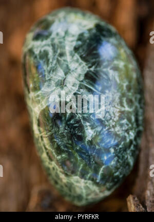 Grün poliert Seraphinite Muster aus Ostsibirien in Rußland auf die faserige Baumrinde im Wald. Edelstein Qualität clinochlore des Chlorit Gruppe. Stockfoto