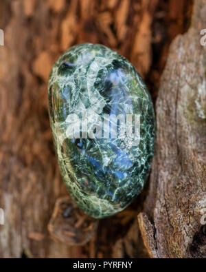 Grün poliert Seraphinite Muster aus Ostsibirien in Rußland auf die faserige Baumrinde im Wald. Edelstein Qualität clinochlore des Chlorit Gruppe. Stockfoto