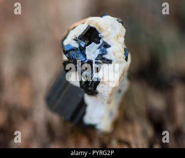 Schwarzer Turmalin Point & Babys in Feldspat aus Brasilien auf einem Baum Rinde im Wald gelegen. Stockfoto