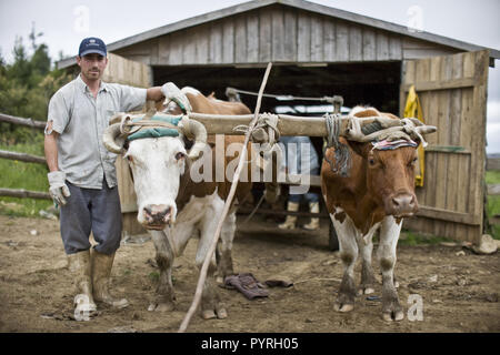 Junge männliche Bauer mit seinen Tieren auf einem Bauernhof. Stockfoto