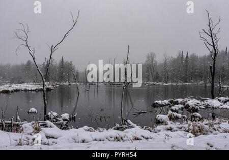 Schneesturm in Feuchtgebieten Teich, Schneefräsen über Kamera Stockfoto