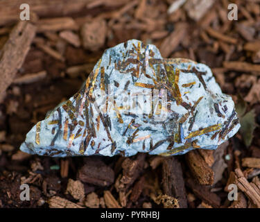 Grobe Astrophyllite in Matrix Muster aus Russland auf einem Baum Rinde im Wald zu bewahren. Andere Namen: Aastrophyllite, Asterophyllite, Astrofillite. Stockfoto