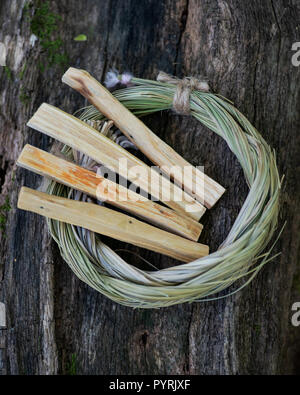 Peruanische Palo Santo heilige Holz Räucherstäbchen und Wildcrafted getrocknet Sweetgrass(Hierochloe odorata) in organic cotton String auf einen Baum Rinde gewickelt Stockfoto