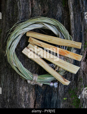 Peruanische Palo Santo heilige Holz Räucherstäbchen und Wildcrafted getrocknet Sweetgrass(Hierochloe odorata) in organic cotton String auf einen Baum Rinde gewickelt Stockfoto