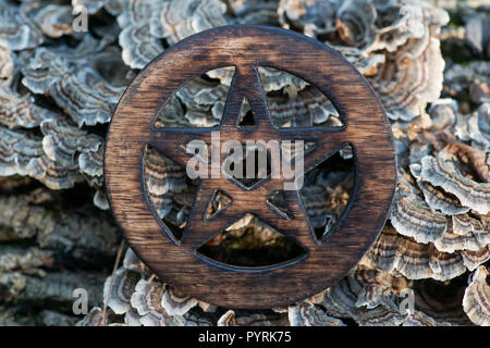 Holz- umkreist Pentagramm Symbol auf faserige Baumrinde im Wald, Stockfoto