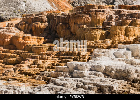 Terrassen bei den Mammoth Hot Spring - Yellowstone National Park - Textur Kalkstein Stockfoto