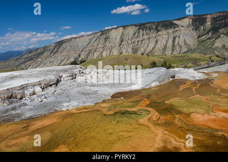 Kontraste - Landschaft in Mammoth Hot Spring - Yellowstone National Park. Geologische Formationen in Orange und Weiß, blauen Himmel in einem Tag Sommer Stockfoto