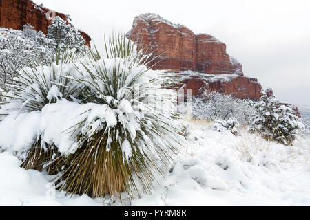 Courthouse Butte mit frisch gefallenen Schnee, Sedona, Arizona Stockfoto