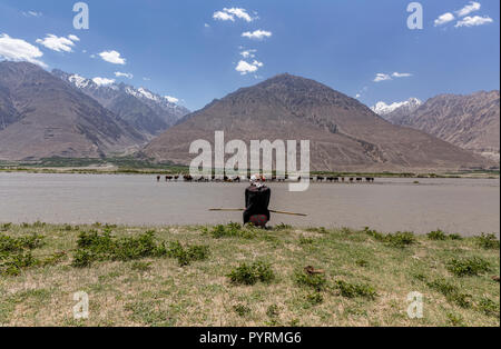 Wakhi herder Frau Uhren ihre Kühe Panj River Cross aus Tadschikistan, Afghanistan, Wakhan Valley, Tadschikistan Stockfoto