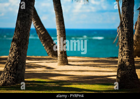 Amtsleitungen der Palmen und Schatten auf einem leeren tropischen Strand. Stockfoto