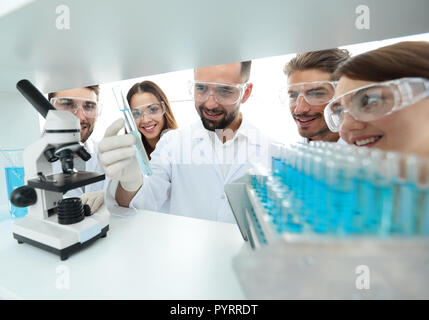 Gruppe von Apothekern im Labor arbeiten. Stockfoto