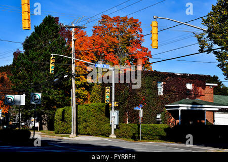 Ein Herbst Landschaften Bild von einem roten Backsteingebäude an der Ecke Main und Königin Straßen in Sussex New Brunswick, die mit wachsenden Reben bedeckt ist Stockfoto