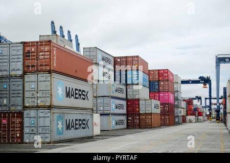 Container Yard an Balboa in Panama City Stockfoto