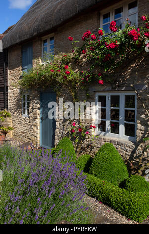 Englisch Stein thatch Cottage Garten mit Rosen um Tür, Lavendel und box Hedging, England, Europa Stockfoto
