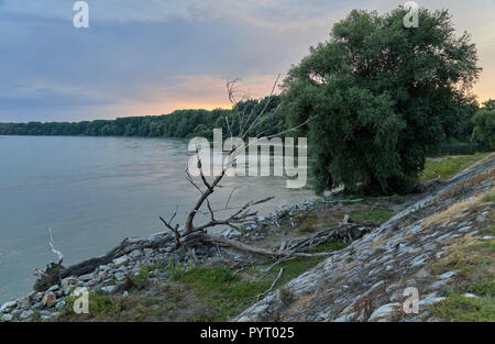 Devin, in der Nähe von Bratislava, Slowakei, am Abend Stockfoto