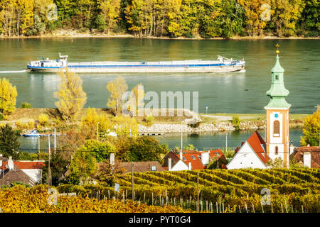 Herbst in österreichischen Weinbergen. Donautal, Kahlenbergerdorf-Kirche bei Wien, Niederösterreich Europa Weinberg Fluss Boot Weinberg Fluss Stockfoto