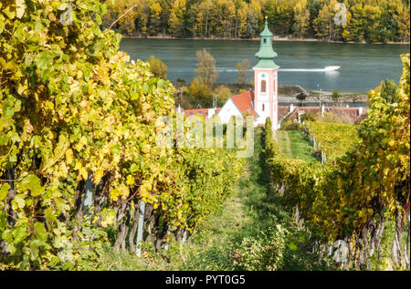 Herbst in österreichischen Weinbergen. Das Donautal, die Kahlenbergerdorf Kirche bei Wien, Niederösterreich Europa Weinbergfluss Stockfoto