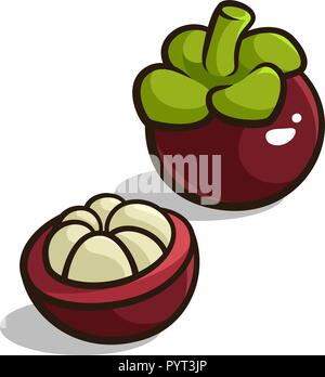 Vector Illustration eines Mangosteen isoliert auf weißem Stock Vektor