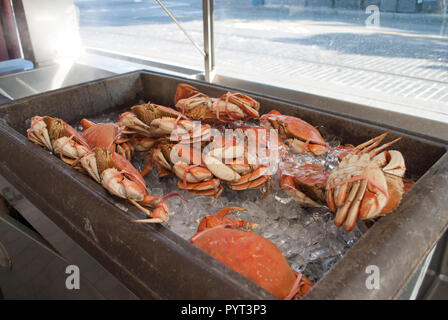 Bündel von Krabben auf Eiswürfel an Street Restaurant zubereitet Stockfoto