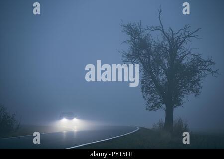 Auto im dichten Nebel. Düstere Wetter auf die Straße. - Selektiver Fokus auf den Baum Stockfoto
