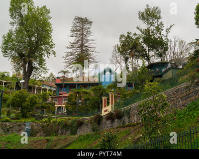 Jardim Botânico da Madeira, Monte, Funchal, Madeira, Portugal Stockfoto