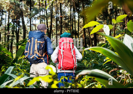 Rückansicht des asiatischen Wanderer mit Rucksack in den Wald zu erkunden Stockfoto