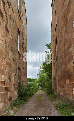 Auf der Suche durch eine kleine überwachsen Gasse zwischen alten Mietskasernen in Glasgow auf einem grauen bewölkten Sommertag. Glasgow, Schottland, Großbritannien. Stockfoto