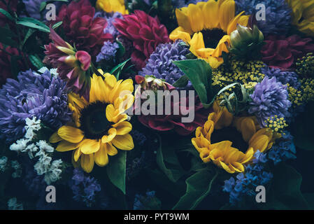 Beautiful fairy dreamy magic autumn flowers with dark leaves background. Stockfoto