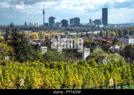 Wiener Weinberge, Herbstberg auf einem Hügel über dem Stadtteil Nussdorf, Niederösterreich, Donau-City Hintergrund, Wien, Wein Stockfoto