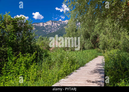 Biotop am See Kaltern, Südtirol Stockfoto