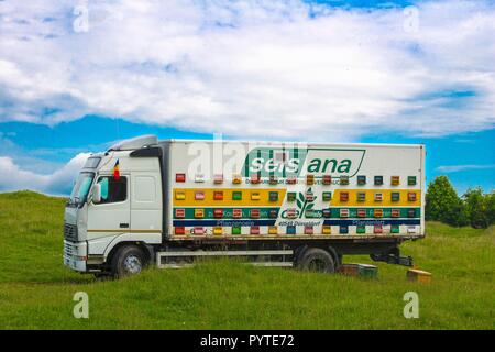 Rumänien SIBIU, Bienen schwärmen um einen ehemaligen Lkw umgewandelt in ein mobil Bienenstock Transporter Stockfoto